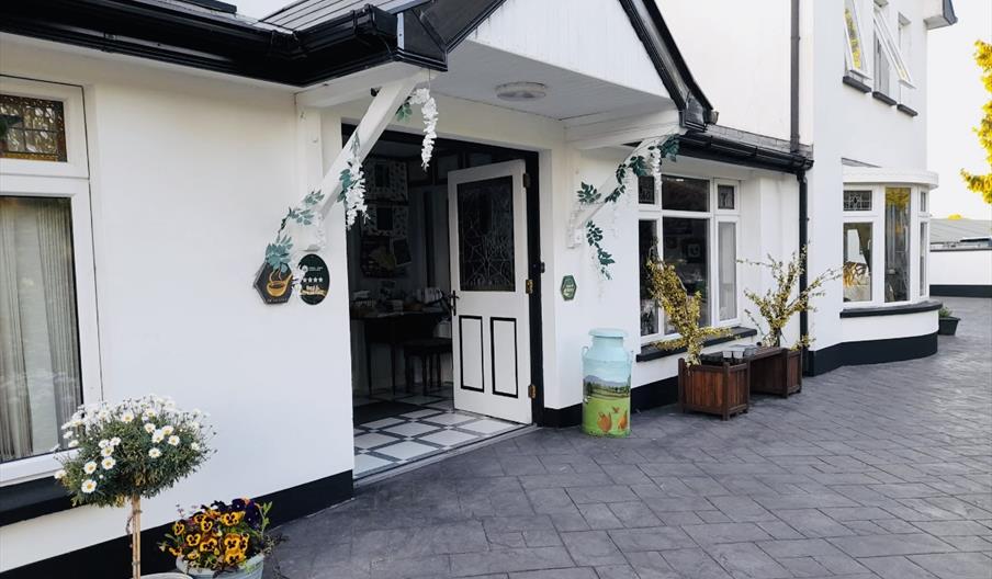 Exterior entrance of Arch House B&B with front doorway with decorative plants either side and a paved driveway.