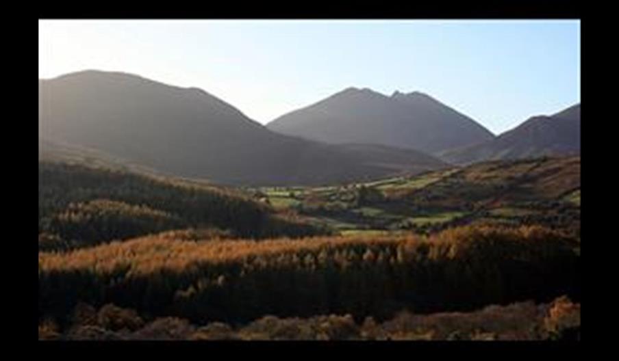 Tory Bush Cottages- No.6