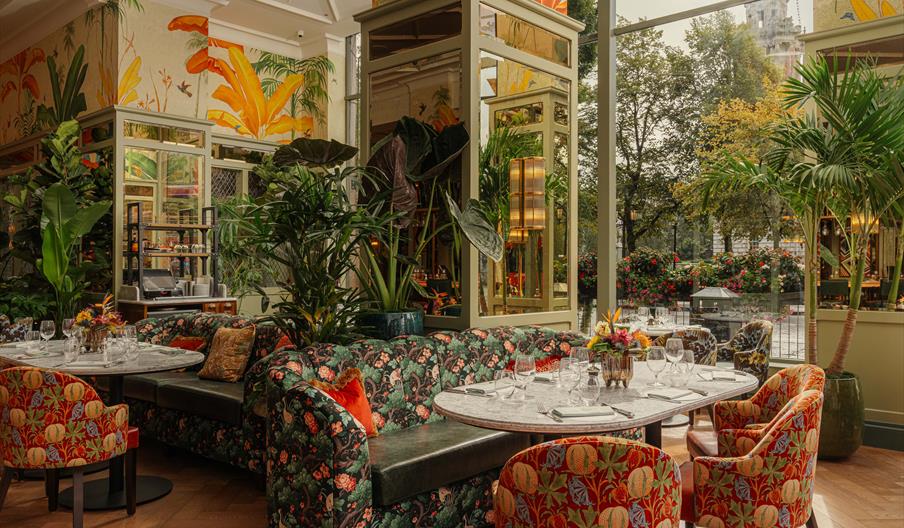 The Ivy Belfast Brasserie