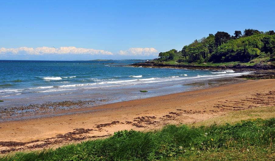 Crawfordsburn Country Park