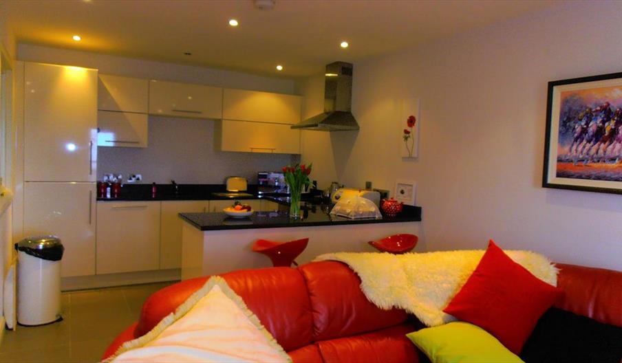 view off kitchen and sofa area