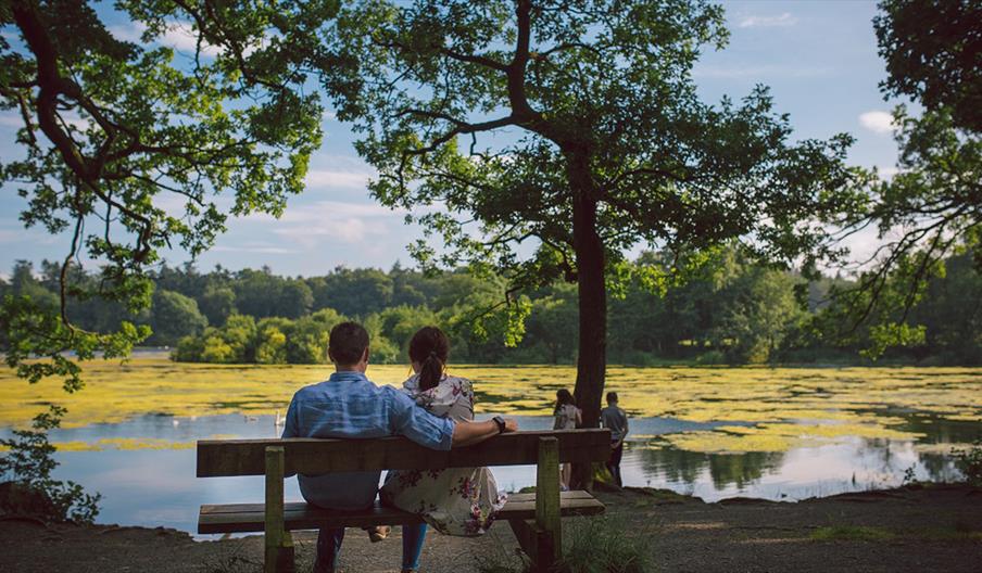 Hillsborough Forest Park2