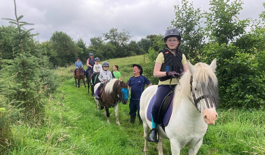 Ballylagan Trail Rides 7