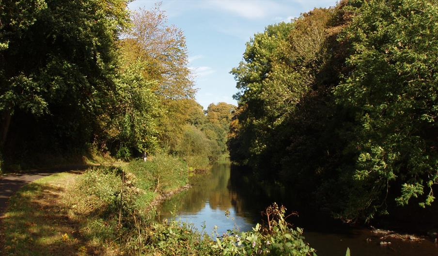 Lagan Valley Regional Park