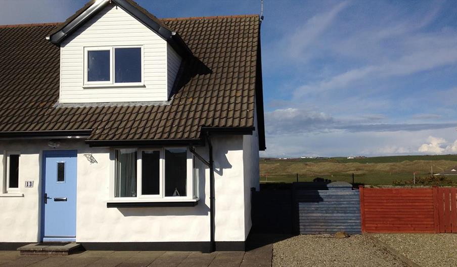 Seabirds Portballintrae