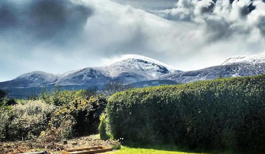 50 Castlewellan Road