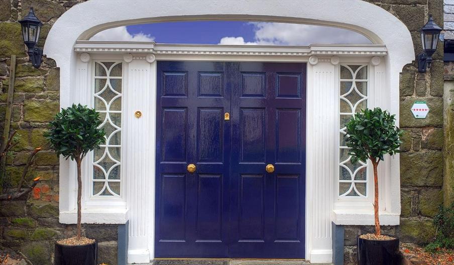 Large blue double doors decorated with lamps and potted trees.
