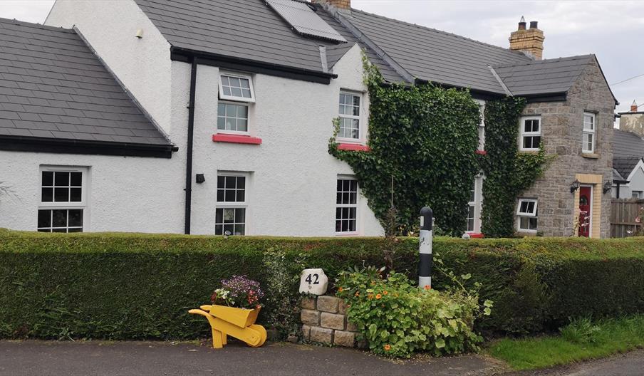 A roadside view of a two-story house covered in decorative ivy.