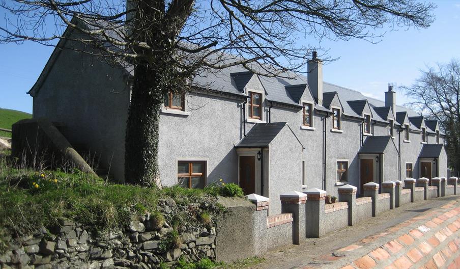 Image of row of terraced houses