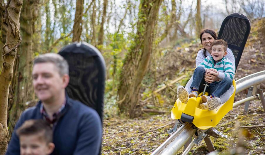 Colin Glen Alpine Coaster