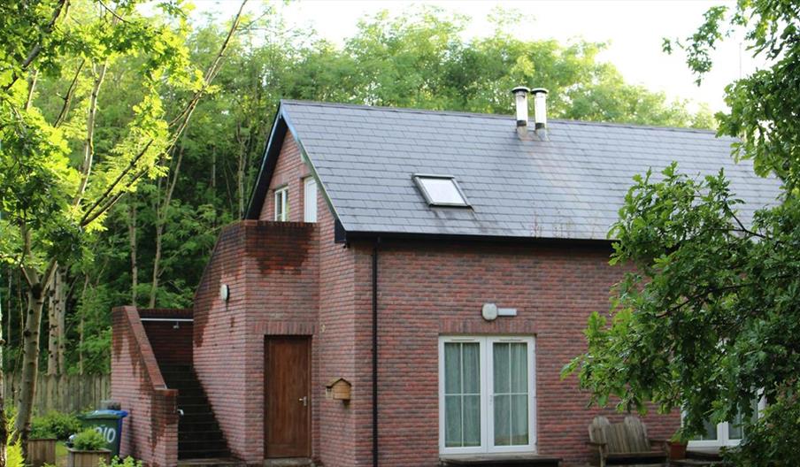 Treetop Apartment - ground floor