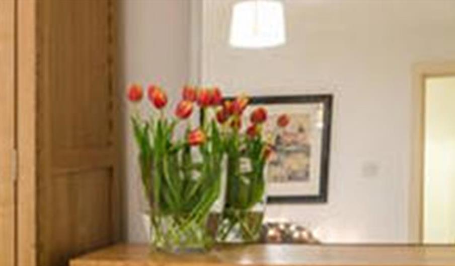 Malone Park Self Catering