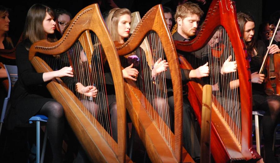 Comhaltas National Folk Orchestra