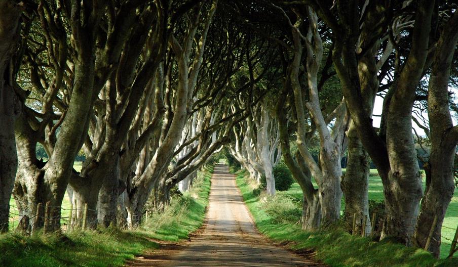 Game of Thrones Tour of the North