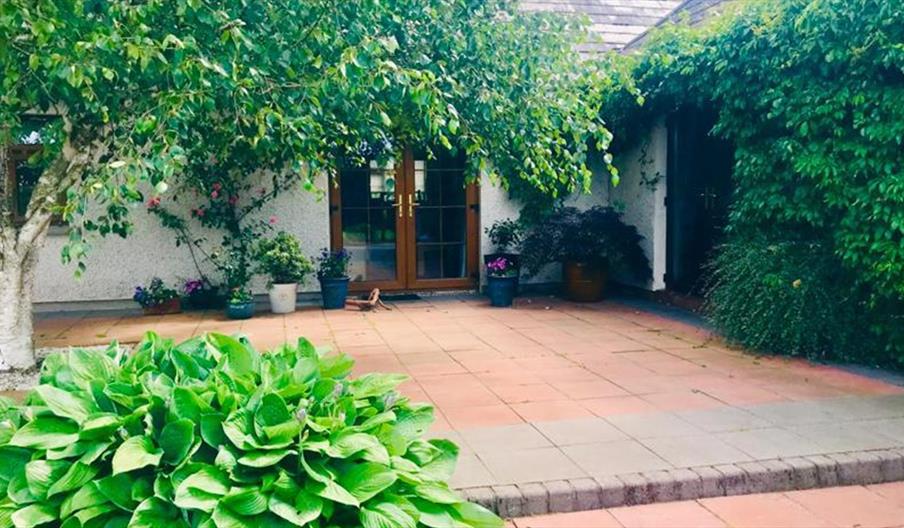 Courtyard with green hedges, vines and a tree in front of a house