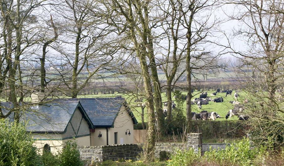 This cosy 1 bed holiday home comes with a little extra room for luggage & clothes, it can also be used as an office.