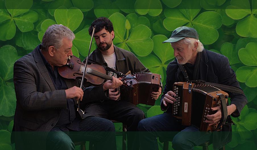 Blind Fiddler