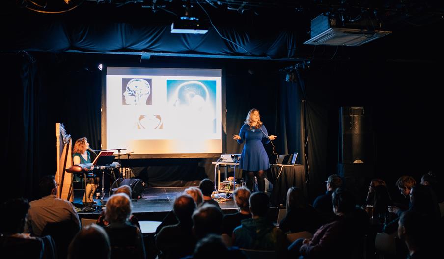 NI SCIENCE FESTIVAL