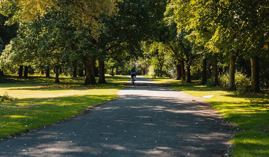 Ormeau Park – Tents only Campsite