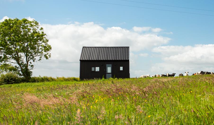 The Little Black Burrow