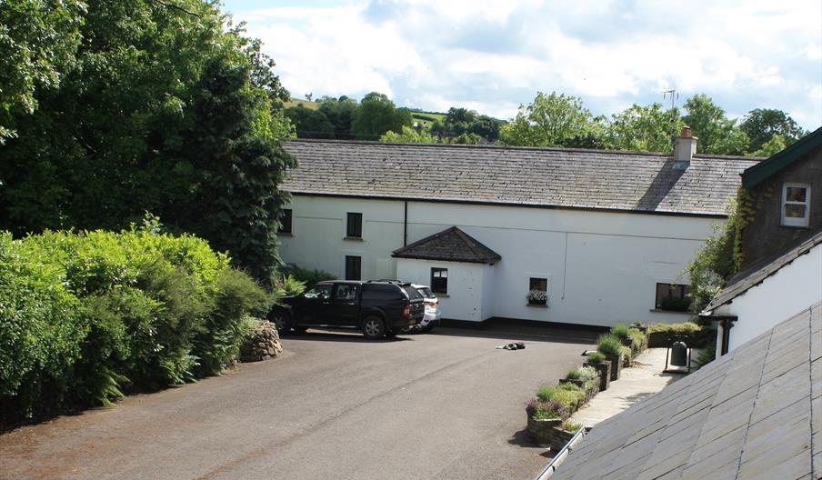 The view from a window of some apartments, a large driveway with parked cars, some trees and some sleeping dogs.