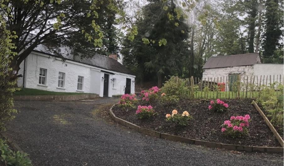 Image is of front of white washed cottage with gravel drive and area planted with rose bushes with lots of trees around the cottage