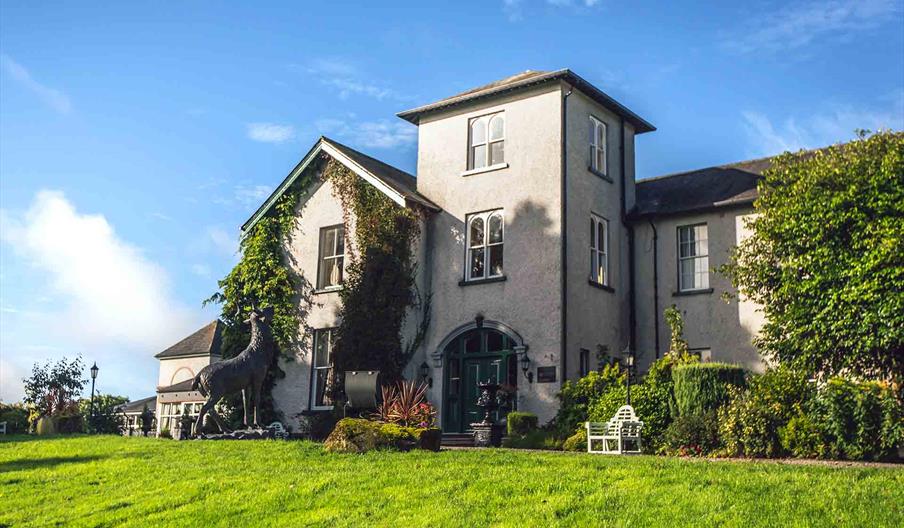 dinner setting, wine glasses