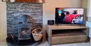 tv and fire place