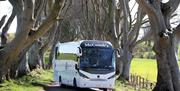 McComb's Coach Tours