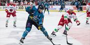 Belfast Giants 2024 4