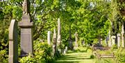 Belfast City Cemetery 5