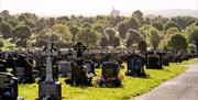 Belfast City Cemetery 3