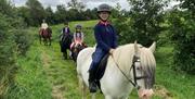 Ballylagan Trail Rides 5