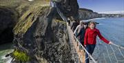 Allens Giant's Causeway Tours