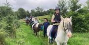 Ballylagan Trail Rides 7