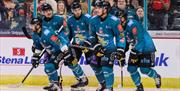 Belfast Giants 2024 7
