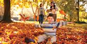 Child Playing in Autumn Leaves at Dixon Park