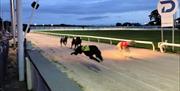 drumbo park 10