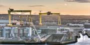 Samson & Goliath Cranes