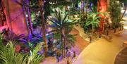 The Lost City Adventure Golf