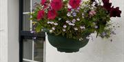 Outside hanging basket with pretty flowers