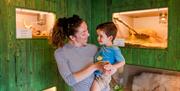 Woman showing child a lizard at The Ark Open Farm