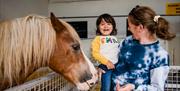 A child happily meeting a pony at the ark open farm newtownards