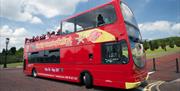 Belfast City Sightseeing Tour