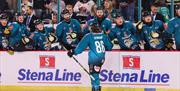 Belfast Giants 2024 3