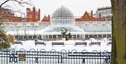 Botanic Gardens in the Snow