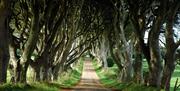 Game of Thrones Tour of the North