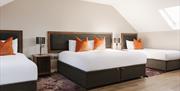 Spacious family hotel room with three beds, modern furnishings and bright, airy décor.